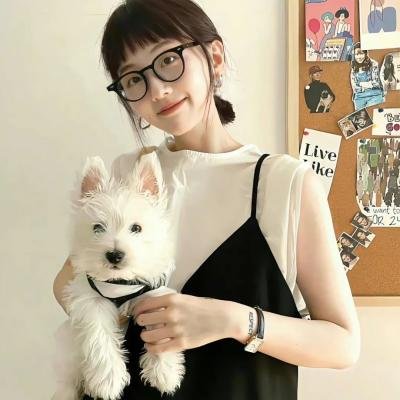 发胶明星梦